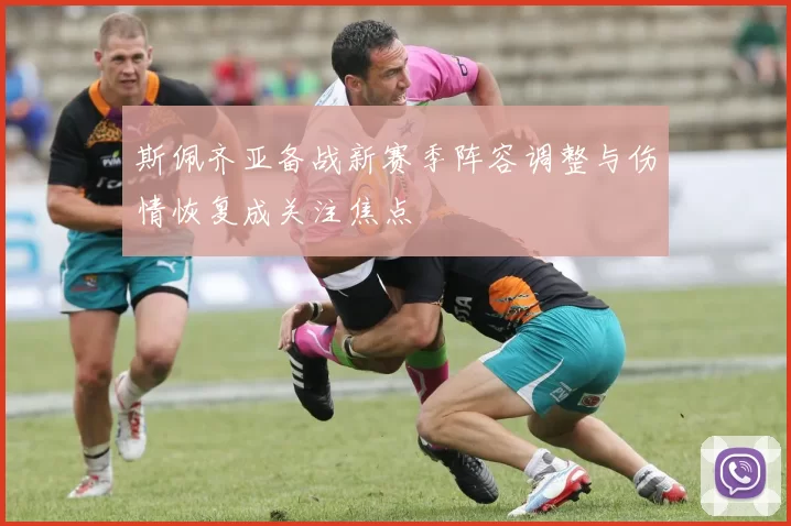 斯佩齐亚备战新赛季阵容调整与伤情恢复成关注焦点