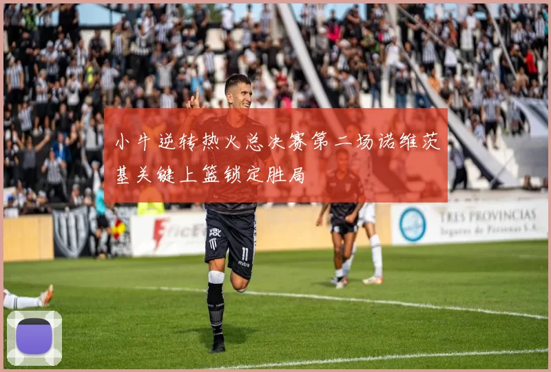 小牛逆转热火总决赛第二场诺维茨基关键上篮锁定胜局