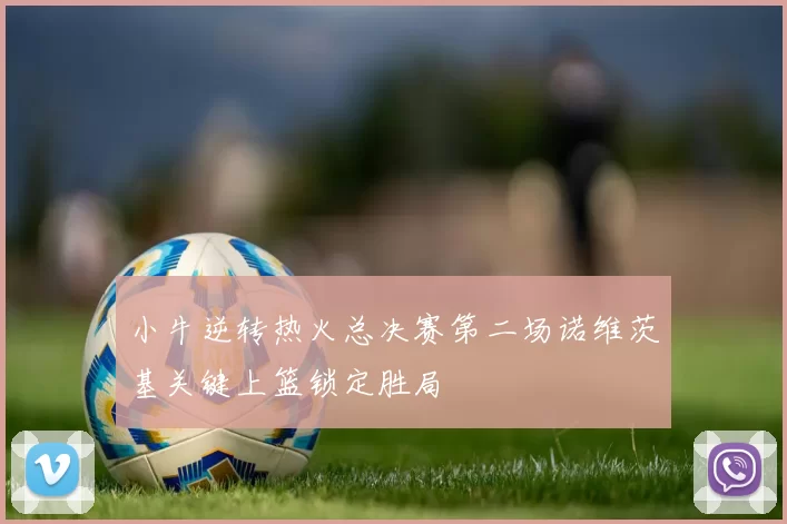 小牛逆转热火总决赛第二场诺维茨基关键上篮锁定胜局